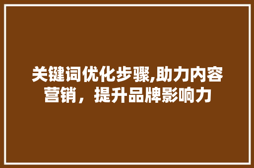 关键词优化步骤,助力内容营销，提升品牌影响力