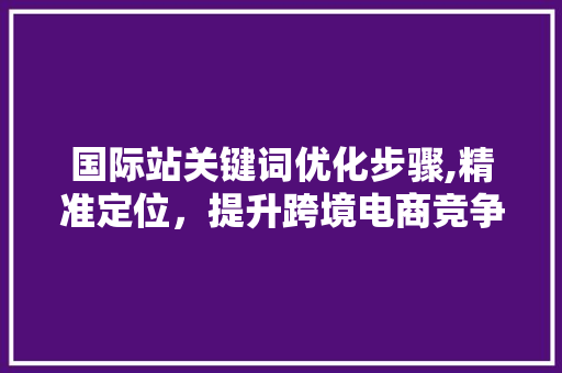 国际站关键词优化步骤,精准定位，提升跨境电商竞争力 后端技术