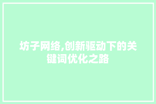 坊子网络,创新驱动下的关键词优化之路