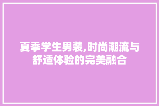 夏季学生男装,时尚潮流与舒适体验的完美融合