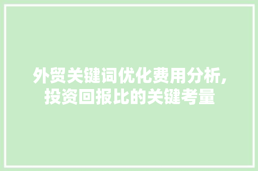 外贸关键词优化费用分析,投资回报比的关键考量