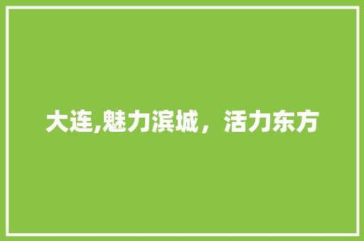 大连,魅力滨城，活力东方 响应式设计