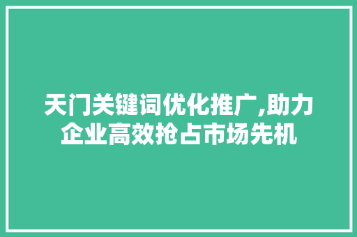 天门关键词优化推广,助力企业高效抢占市场先机