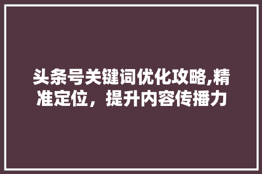 头条号关键词优化攻略,精准定位，提升内容传播力