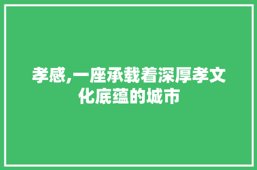 孝感,一座承载着深厚孝文化底蕴的城市