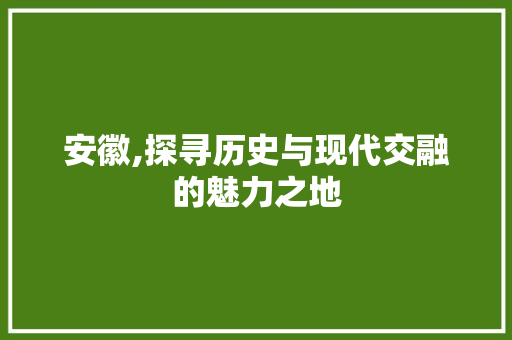 安徽,探寻历史与现代交融的魅力之地