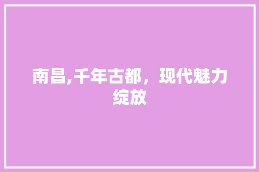 南昌,千年古都，现代魅力绽放