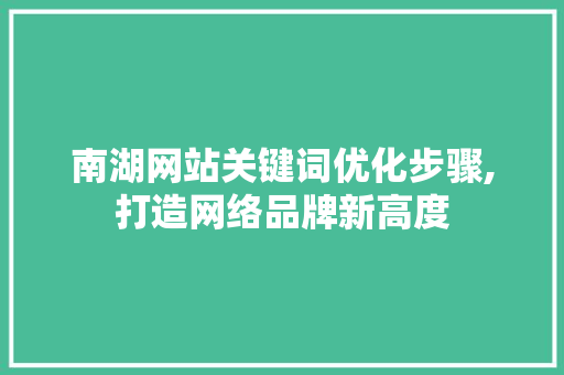 南湖网站关键词优化步骤,打造网络品牌新高度