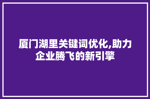 厦门湖里关键词优化,助力企业腾飞的新引擎