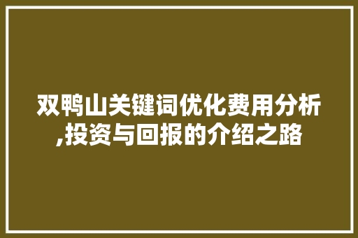 双鸭山关键词优化费用分析,投资与回报的介绍之路