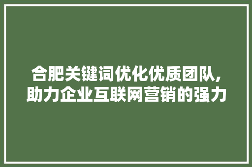 合肥关键词优化优质团队,助力企业互联网营销的强力助手