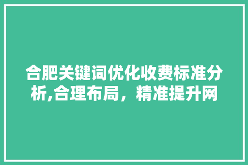合肥关键词优化收费标准分析,合理布局，精准提升网站排名