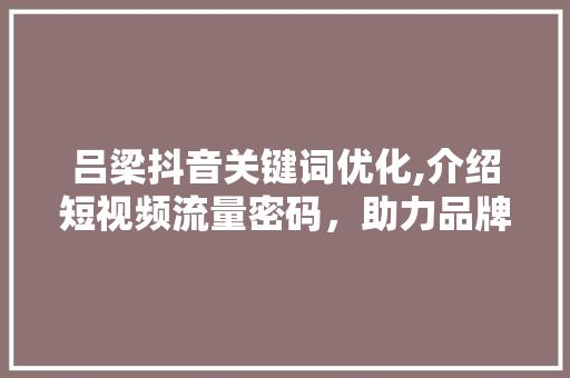 吕梁抖音关键词优化,介绍短视频流量密码，助力品牌传播新篇章