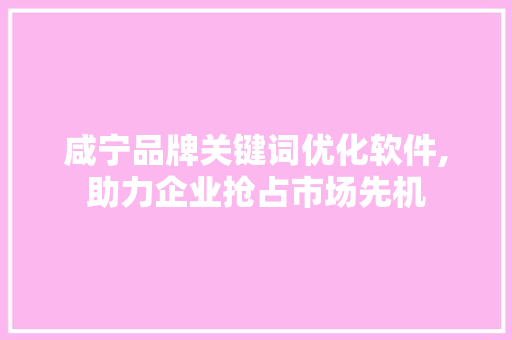 咸宁品牌关键词优化软件,助力企业抢占市场先机 项目报告