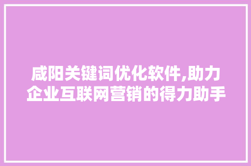 咸阳关键词优化软件,助力企业互联网营销的得力助手