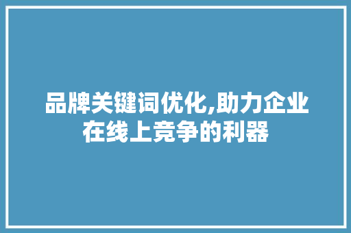 品牌关键词优化,助力企业在线上竞争的利器