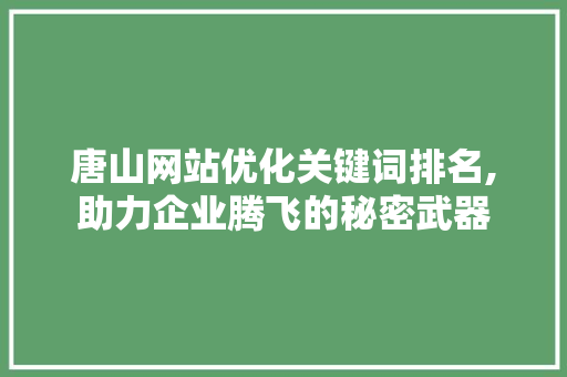 唐山网站优化关键词排名,助力企业腾飞的秘密武器