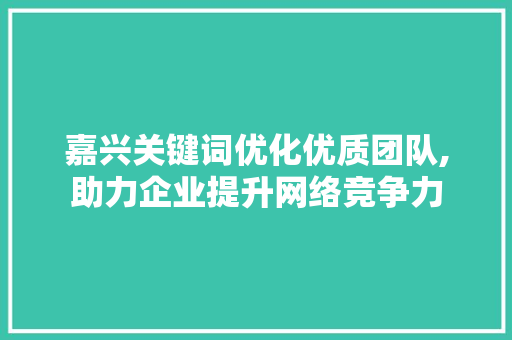 嘉兴关键词优化优质团队,助力企业提升网络竞争力