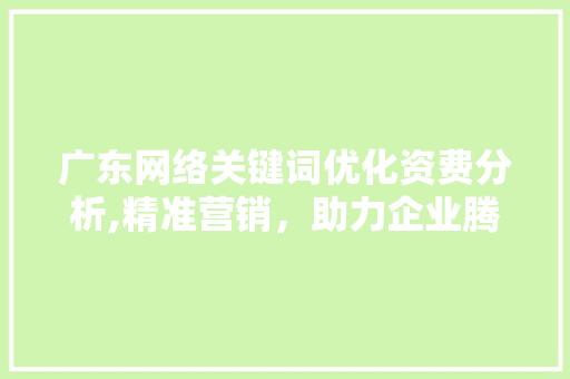 广东网络关键词优化资费分析,精准营销，助力企业腾飞