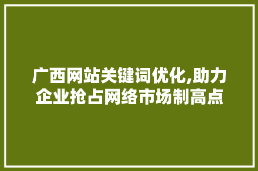 广西网站关键词优化,助力企业抢占网络市场制高点