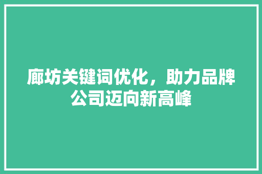 廊坊关键词优化，助力品牌公司迈向新高峰