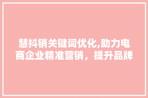 慧抖销关键词优化,助力电商企业精准营销，提升品牌影响力