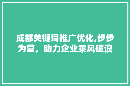 成都关键词推广优化,步步为营，助力企业乘风破浪