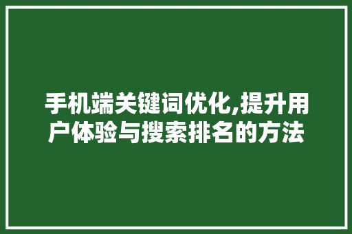 手机端关键词优化,提升用户体验与搜索排名的方法