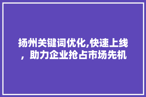 扬州关键词优化,快速上线，助力企业抢占市场先机