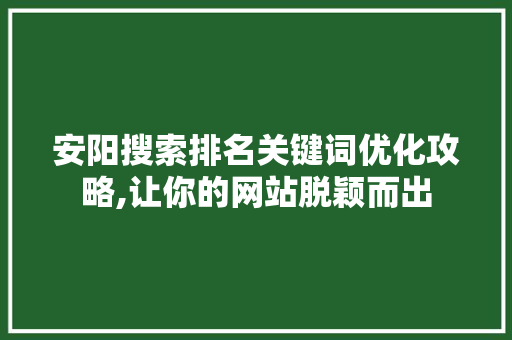 安阳搜索排名关键词优化攻略,让你的网站脱颖而出