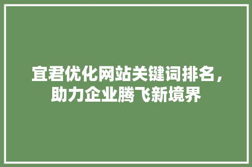 宜君优化网站关键词排名，助力企业腾飞新境界