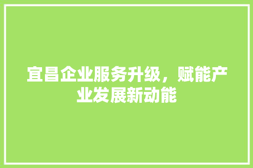 宜昌企业服务升级，赋能产业发展新动能 缓存Redis