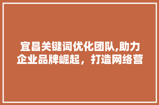 宜昌关键词优化团队,助力企业品牌崛起，打造网络营销新格局