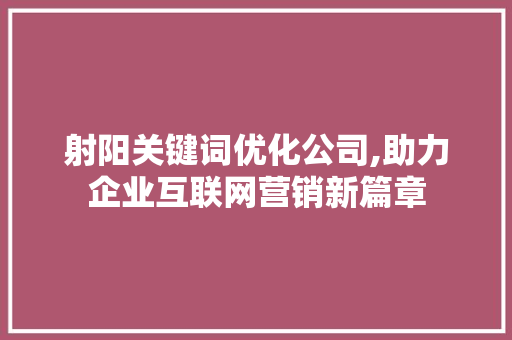 射阳关键词优化公司,助力企业互联网营销新篇章