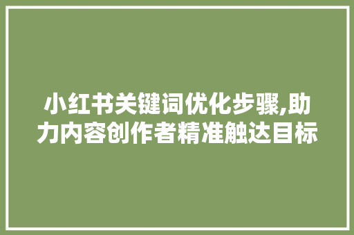 小红书关键词优化步骤,助力内容创作者精准触达目标用户