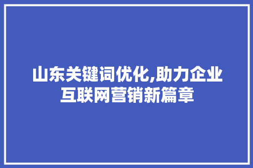 山东关键词优化,助力企业互联网营销新篇章