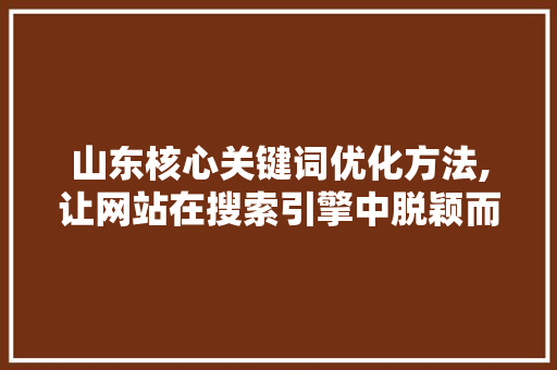 山东核心关键词优化方法,让网站在搜索引擎中脱颖而出