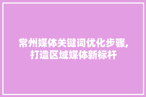 常州媒体关键词优化步骤,打造区域媒体新标杆