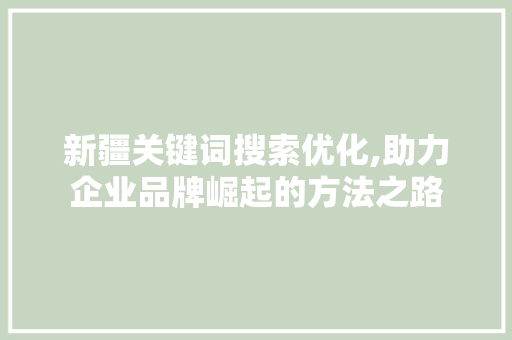 新疆关键词搜索优化,助力企业品牌崛起的方法之路