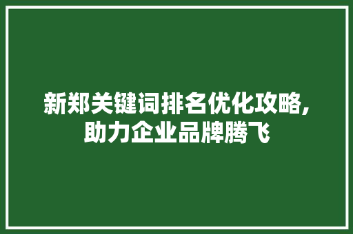 新郑关键词排名优化攻略,助力企业品牌腾飞