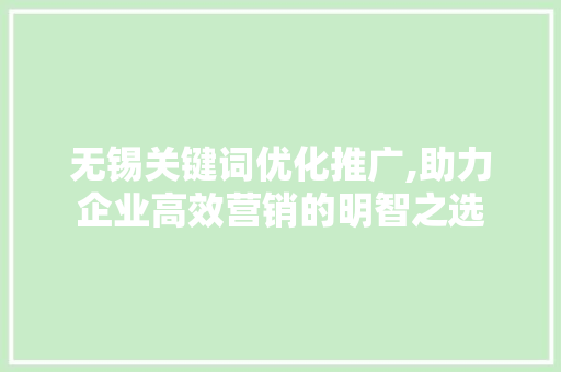 无锡关键词优化推广,助力企业高效营销的明智之选