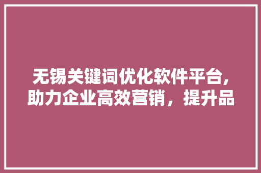 无锡关键词优化软件平台,助力企业高效营销，提升品牌影响力