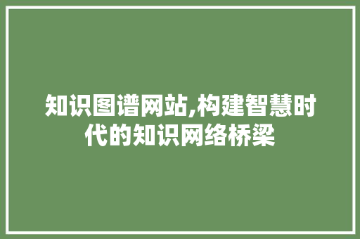 知识图谱网站,构建智慧时代的知识网络桥梁