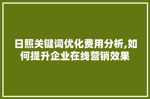 日照关键词优化费用分析,如何提升企业在线营销效果