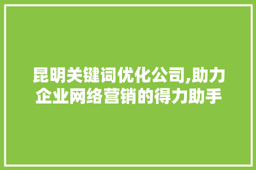昆明关键词优化公司,助力企业网络营销的得力助手