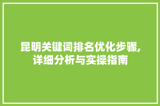 昆明关键词排名优化步骤,详细分析与实操指南