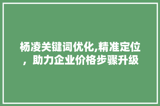 杨凌关键词优化,精准定位，助力企业价格步骤升级 MySQL