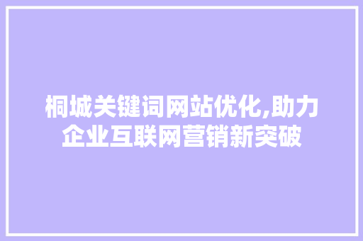 桐城关键词网站优化,助力企业互联网营销新突破