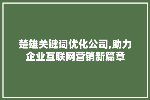 楚雄关键词优化公司,助力企业互联网营销新篇章