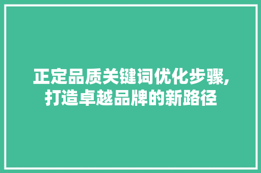 正定品质关键词优化步骤,打造卓越品牌的新路径